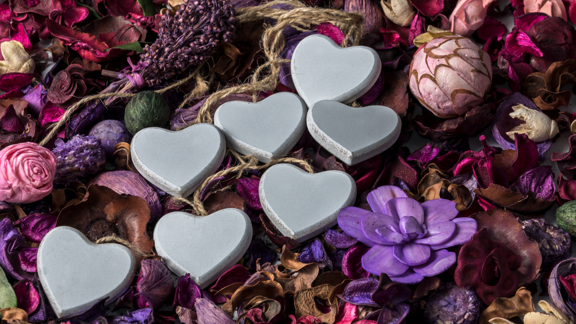 Обои День Святого Валентина, пурпур, сердце, Фиолетовый, лепесток в разрешении 1920x1080