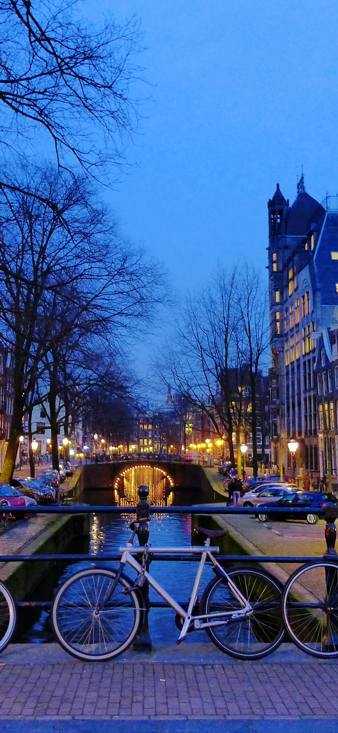 Обои водный путь, канал, велосипед, городок, дерево в разрешении 1125x2436