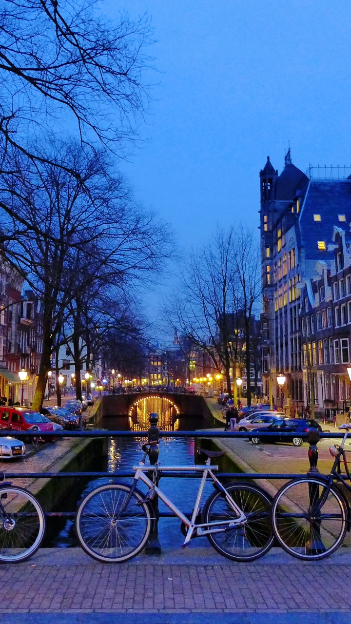 Обои водный путь, канал, велосипед, городок, дерево в разрешении 720x1280