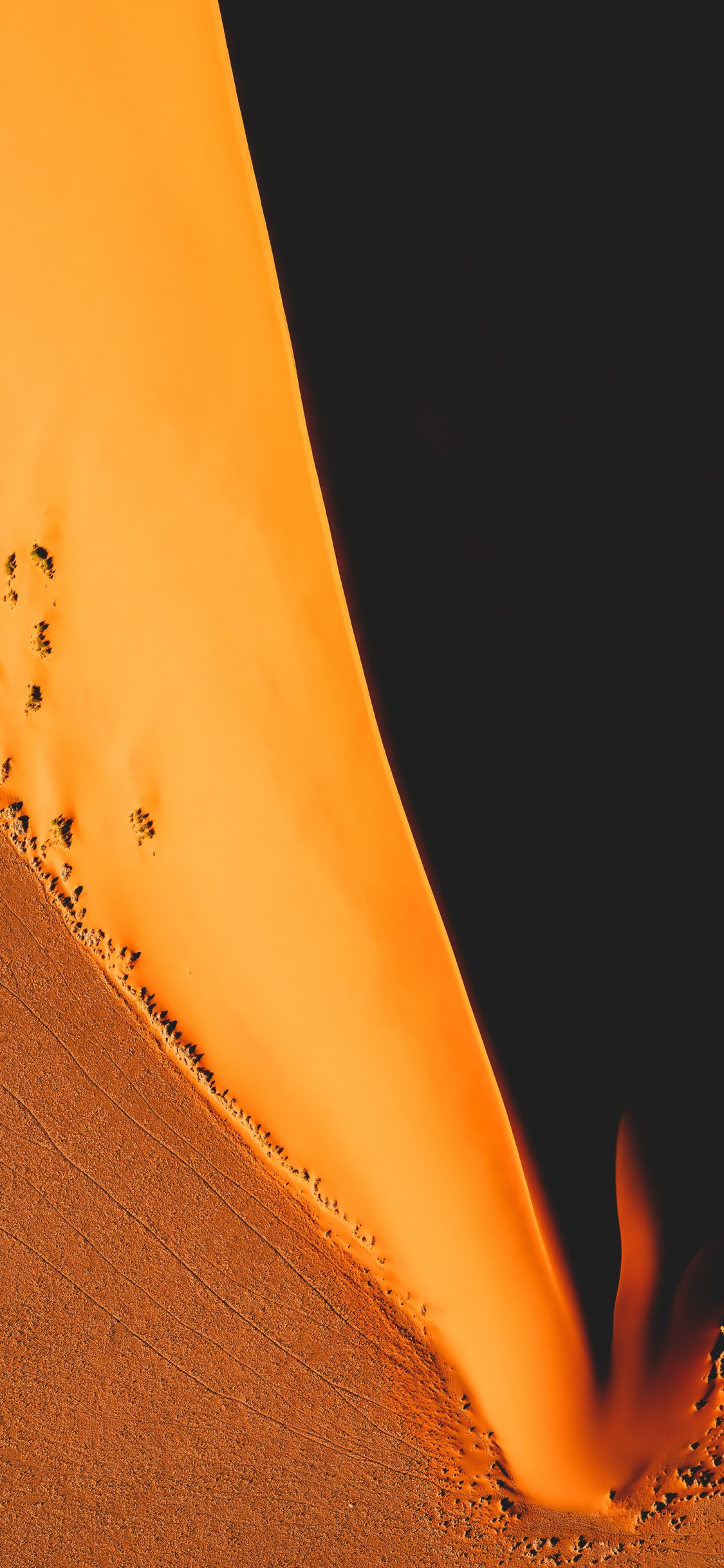 Обои Апельсин, коричневый цвет, растение, Янтарь, древесина в разрешении 1125x2436