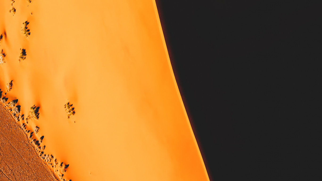 Обои Апельсин, коричневый цвет, растение, Янтарь, древесина в разрешении 1366x768