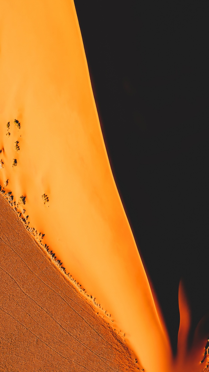 Обои Апельсин, коричневый цвет, растение, Янтарь, древесина в разрешении 720x1280