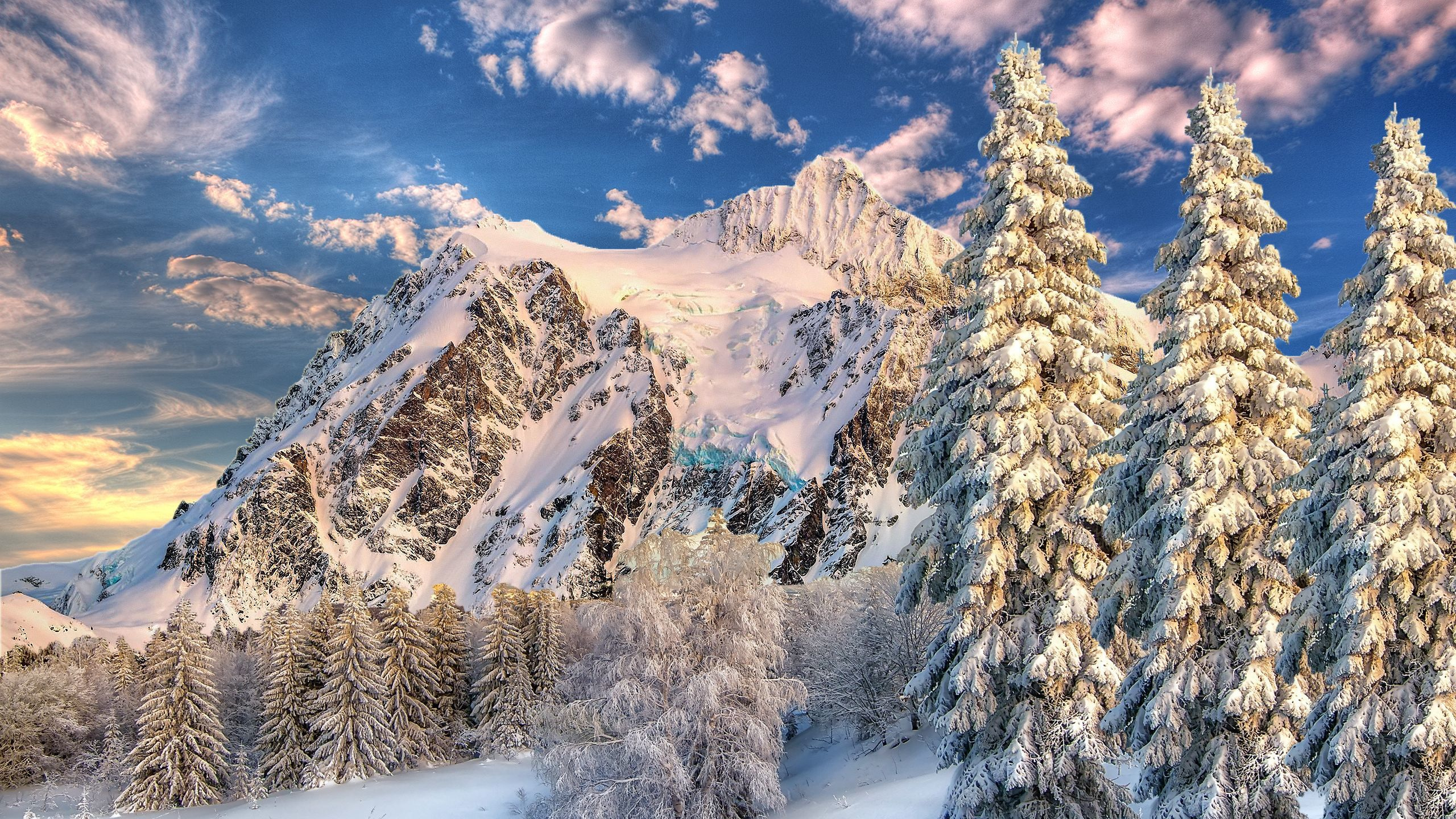 Обои МаунтБейкер, гора, снег, зима, дерево в разрешении 2560x1440