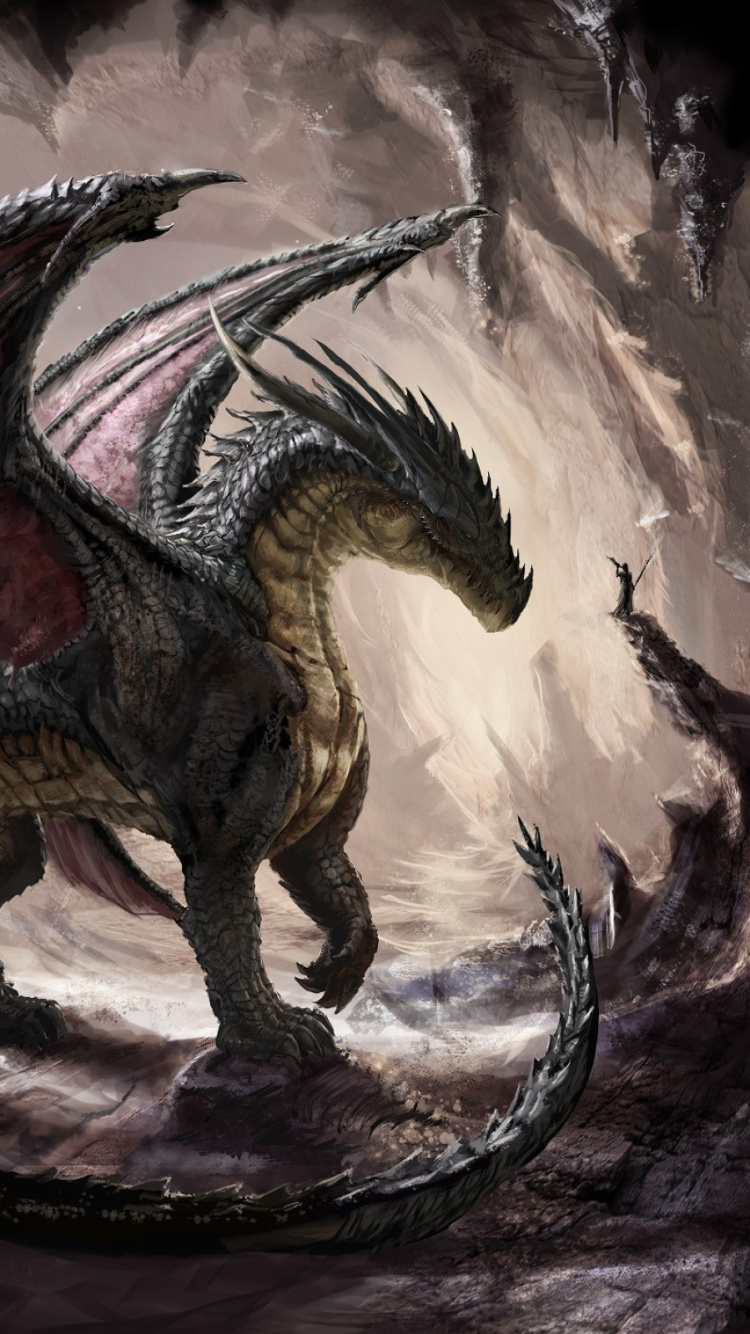 Обои дракон, мифическое существо, мифология, иллюстрация, вымирание в разрешении 750x1334