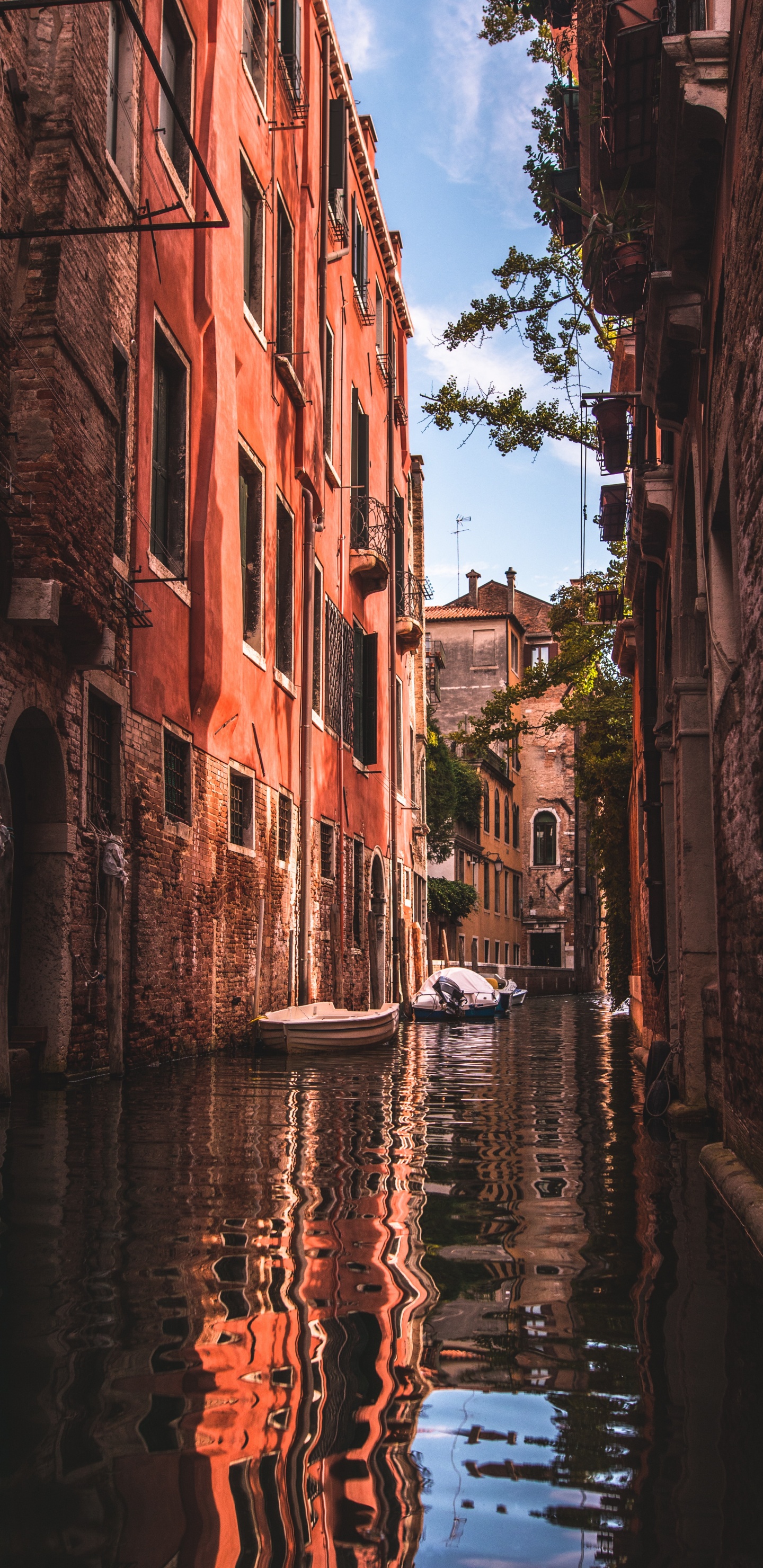 Обои Венеция, канал, водный путь, водоем, вода в разрешении 1440x2960