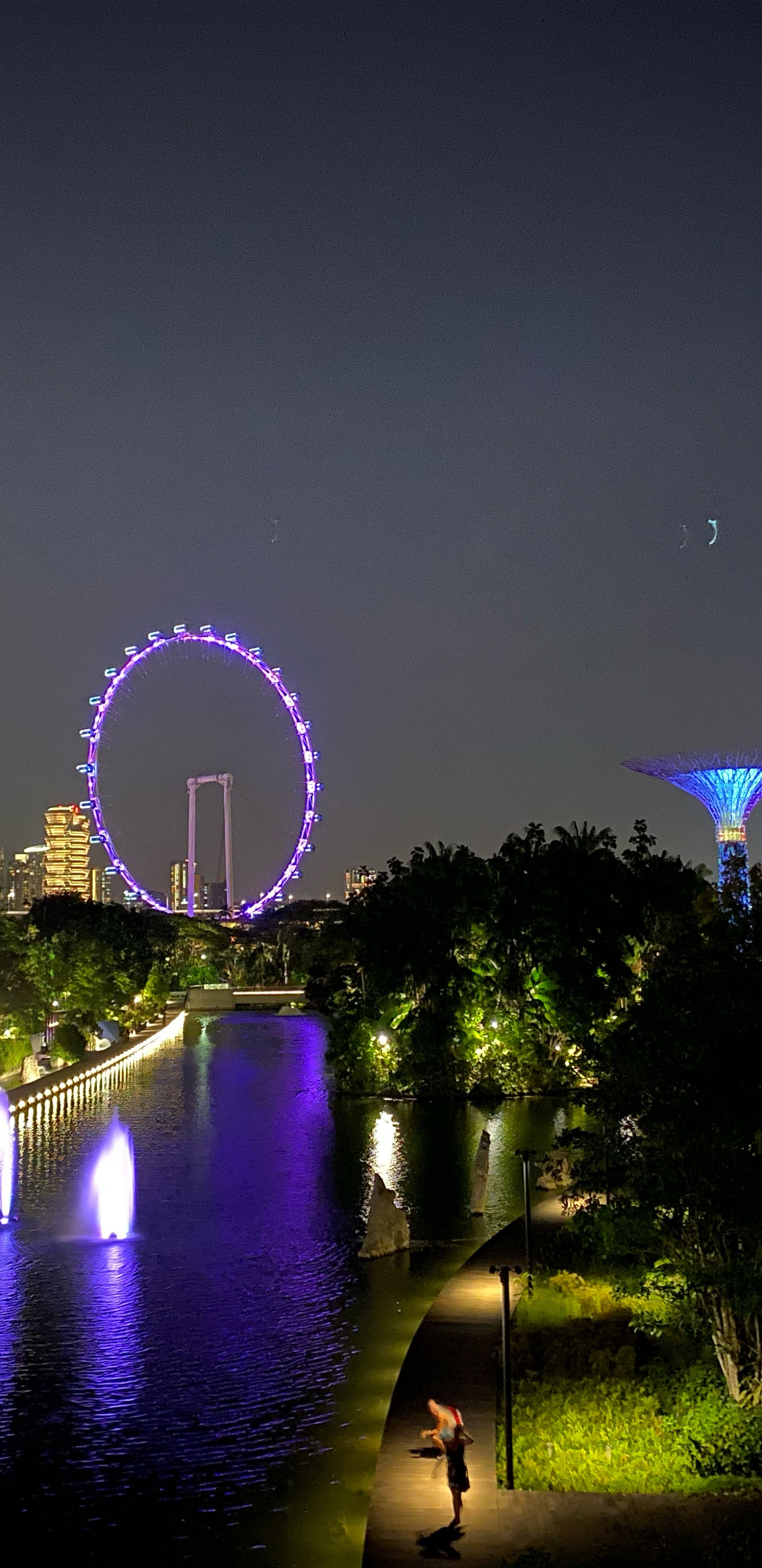 Обои отражение, ночь, метрополия, ориентир, мажорель синий в разрешении 1440x2960