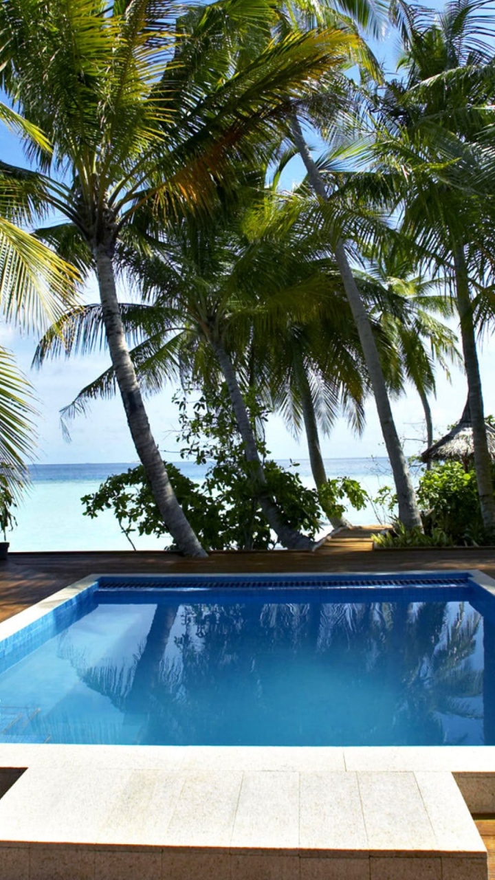 Обои прибежище, плавательный бассейн, свойство, Пальма, недвижимость в разрешении 720x1280