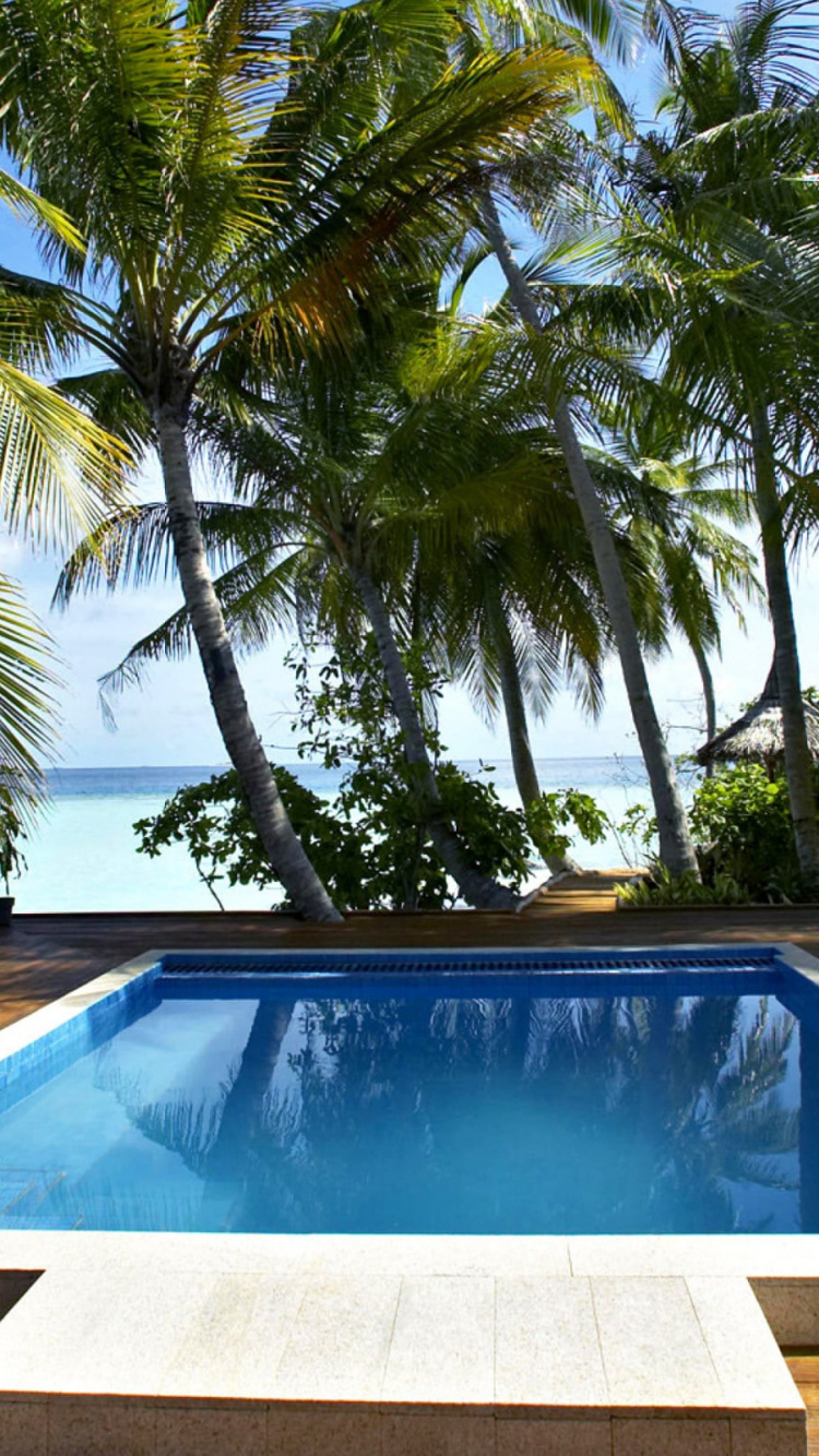 Обои прибежище, плавательный бассейн, свойство, Пальма, недвижимость в разрешении 750x1334