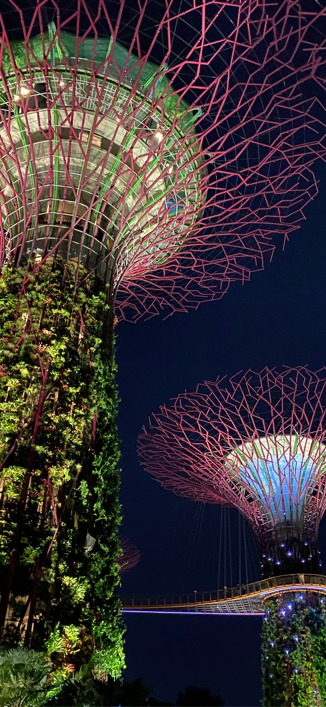 Обои Сингапур, природа, земля, достопримечательность, ориентир в разрешении 1125x2436