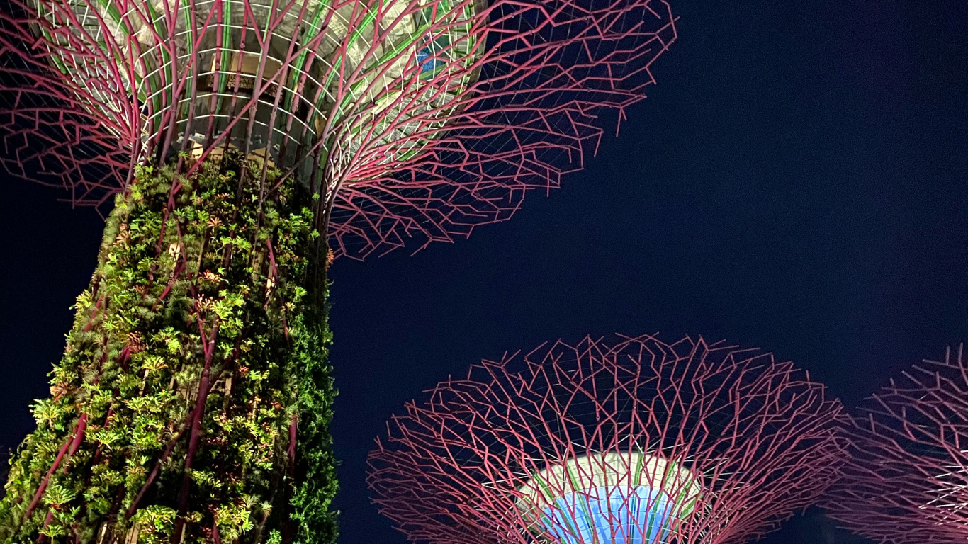 Обои Сингапур, природа, земля, достопримечательность, ориентир в разрешении 1366x768