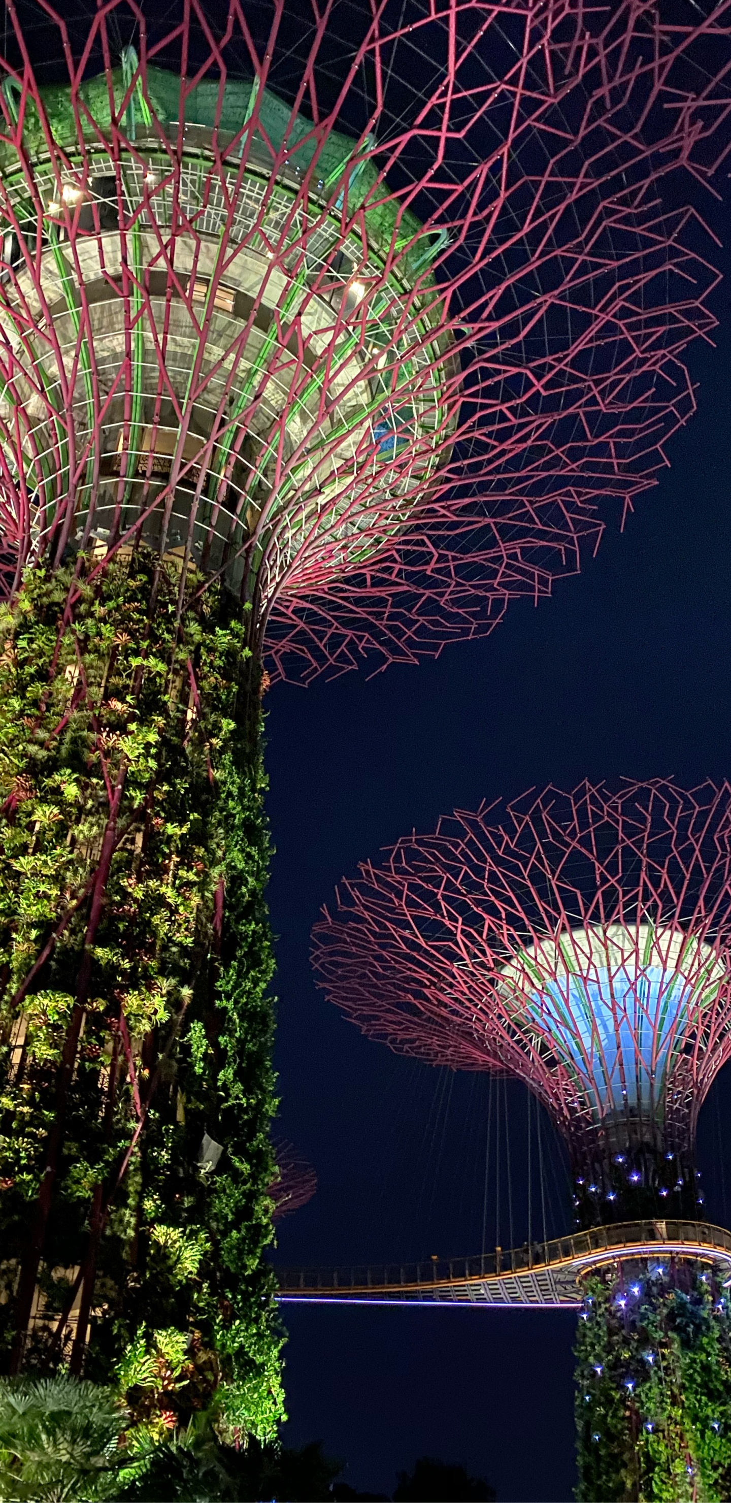 Обои Сингапур, природа, земля, достопримечательность, ориентир в разрешении 1440x2960