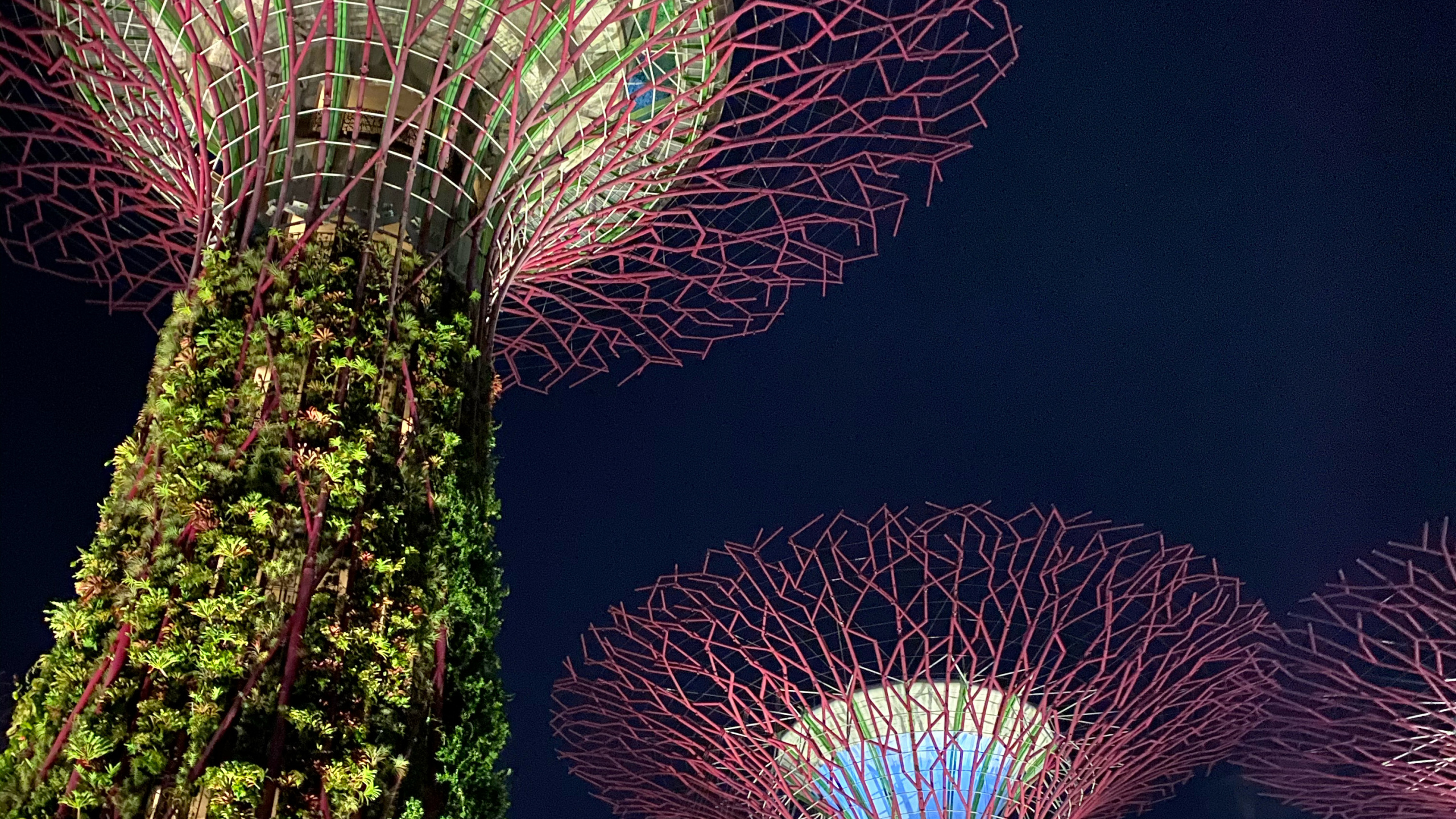 Обои Сингапур, природа, земля, достопримечательность, ориентир в разрешении 2560x1440