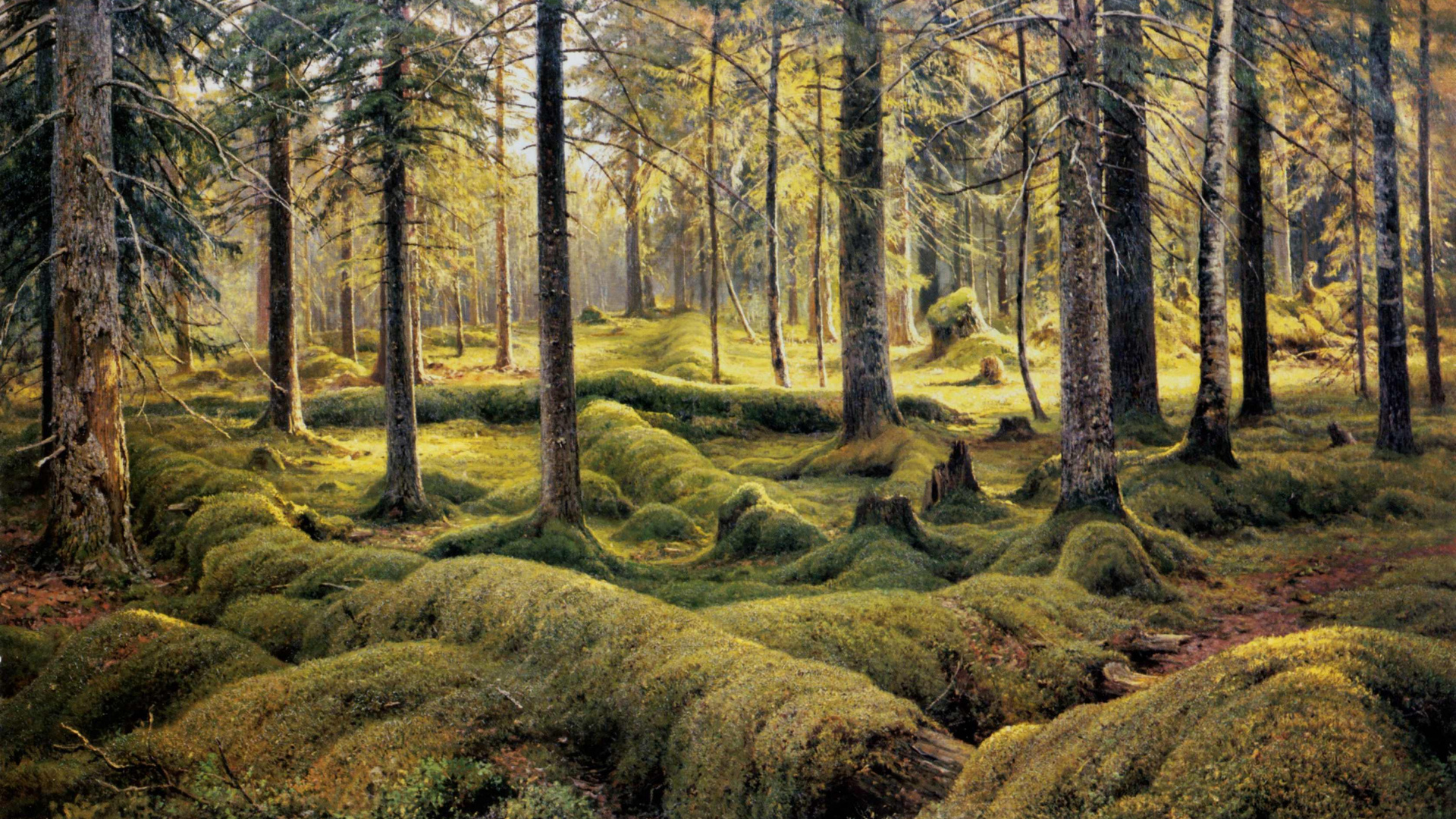 Обои арт, артист, лес, лесистая местность, природа в разрешении 1920x1080