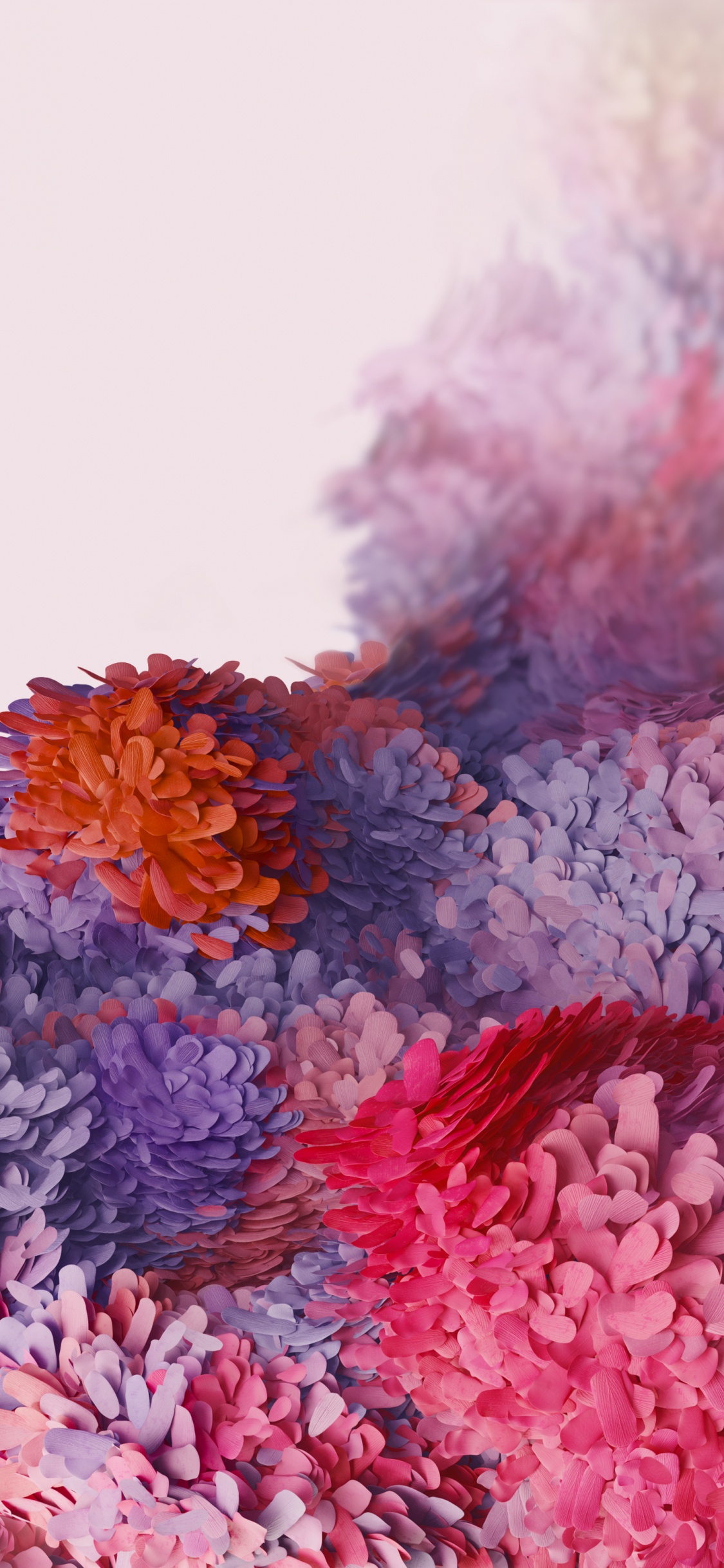 Обои Samsung Galaxy, Samsung, Samsung Galaxy S20, андроид, лепесток в разрешении 1125x2436