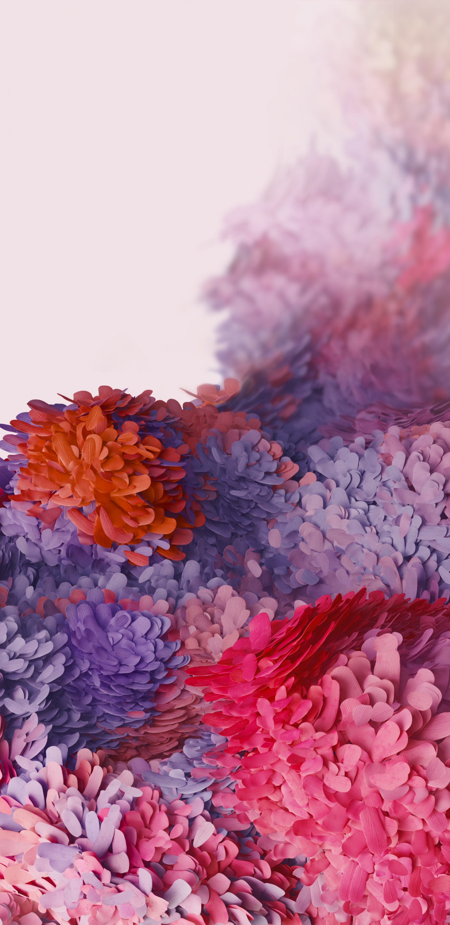 Обои Samsung Galaxy, Samsung, Samsung Galaxy S20, андроид, лепесток в разрешении 1440x2960