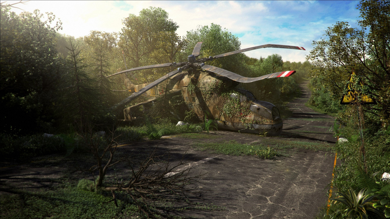 Обои дерево, сельский район, растение, текстуры, лесистая местность в разрешении 1366x768