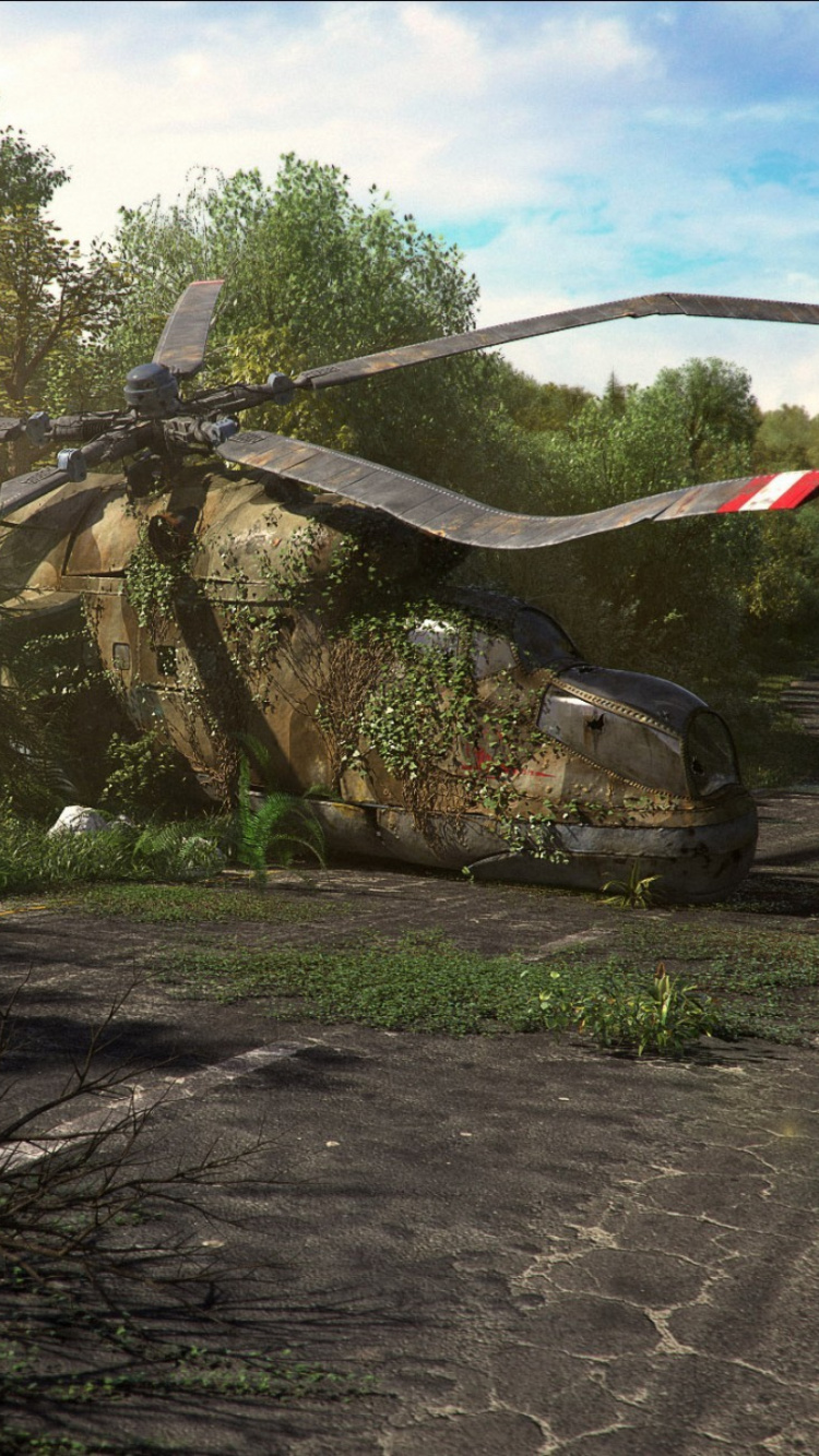 Обои дерево, сельский район, растение, текстуры, лесистая местность в разрешении 750x1334