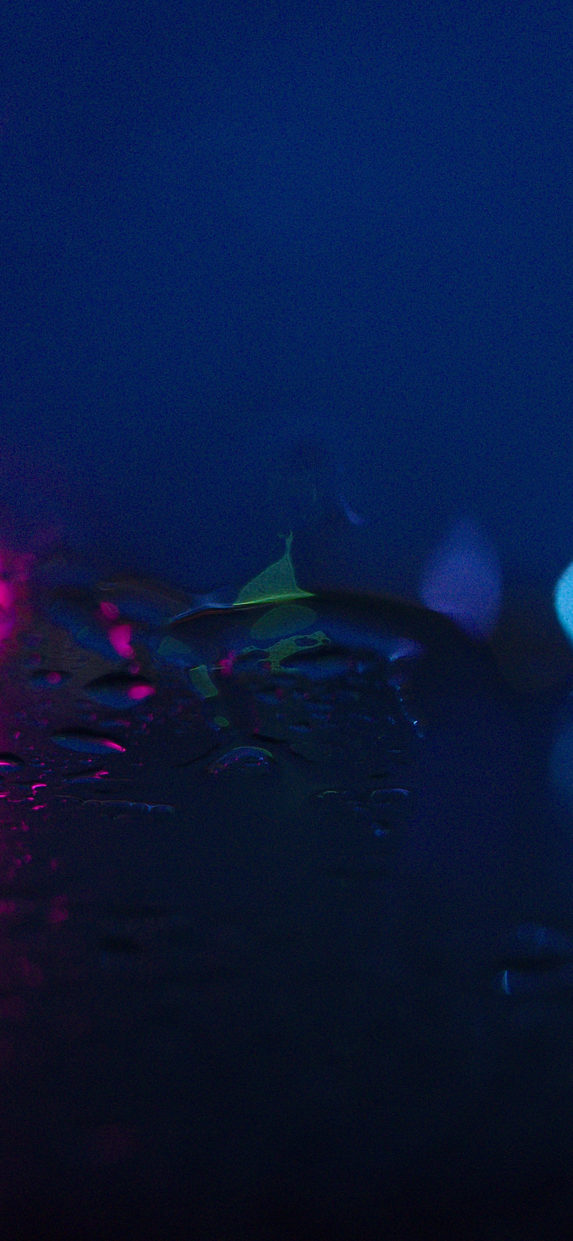 Обои синий, вода, свет, Фиолетовый, пурпур в разрешении 1125x2436