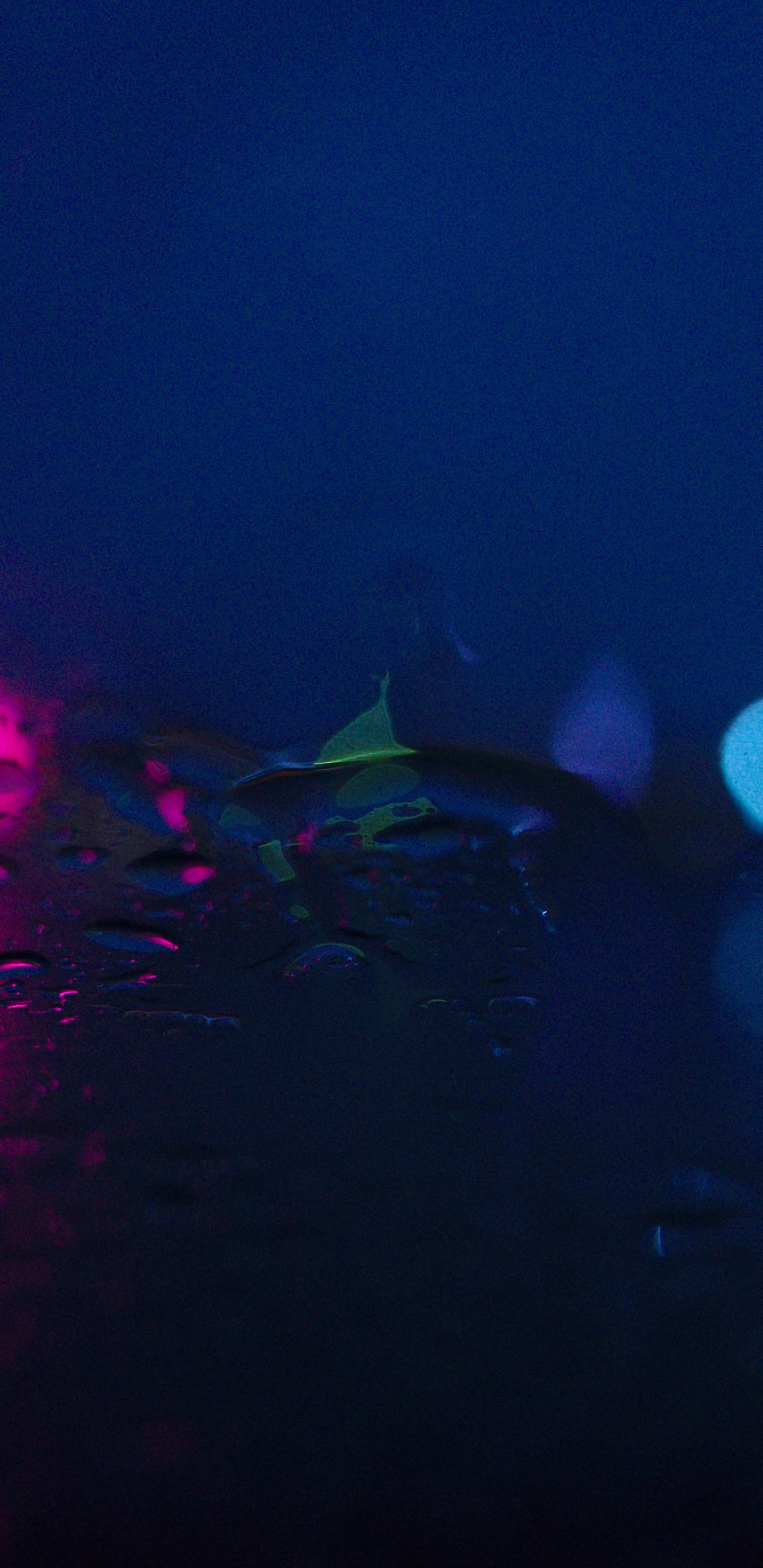 Обои синий, вода, свет, Фиолетовый, пурпур в разрешении 1440x2960