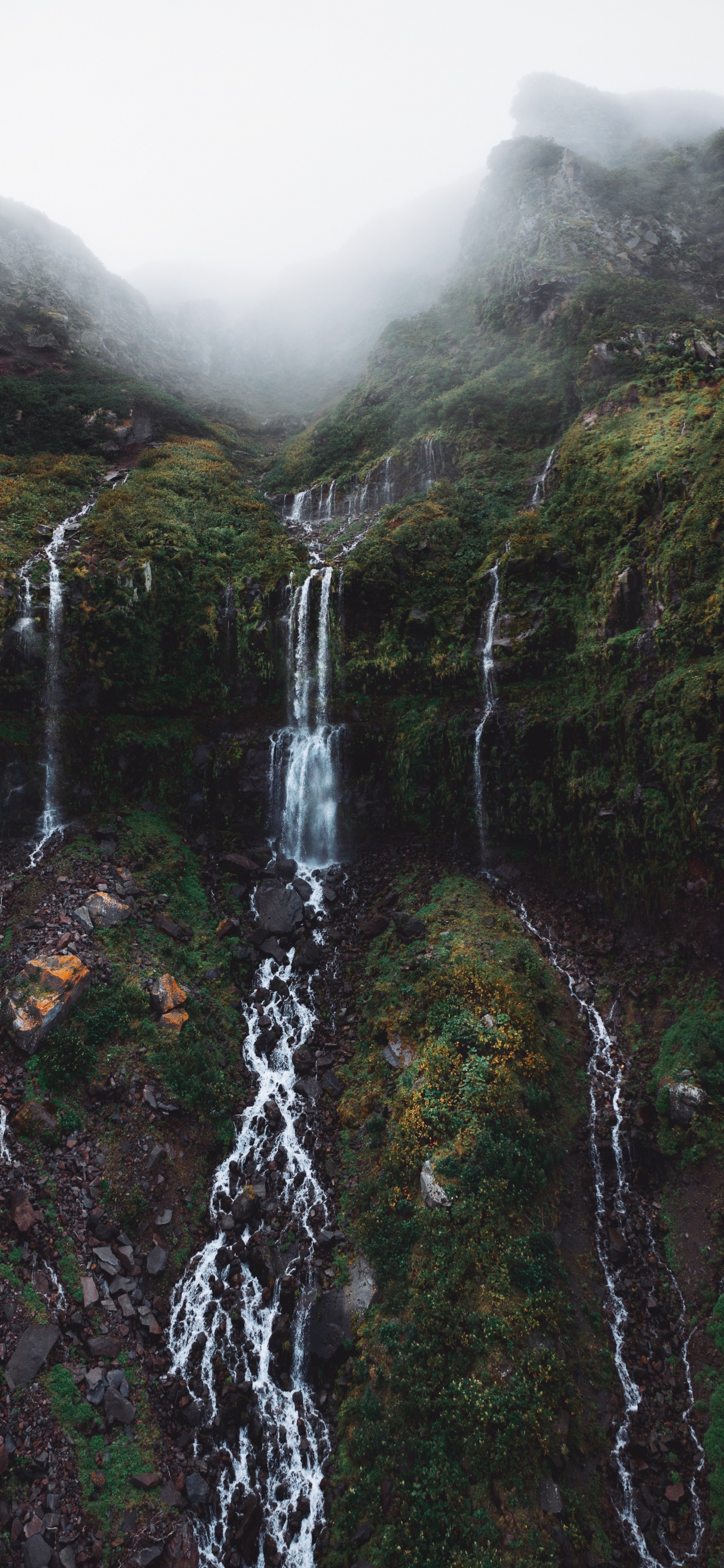 Обои водопад, вода, гора, гидроресурсы, растение в разрешении 1242x2688