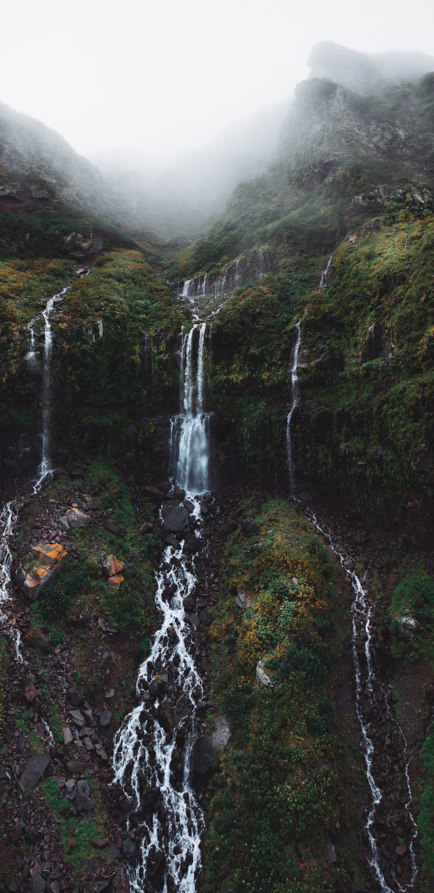 Обои водопад, вода, гора, гидроресурсы, растение в разрешении 1440x2960