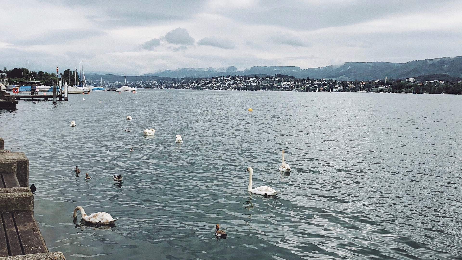 Обои вода, жидкость, облако, жидкий, птица в разрешении 1920x1080