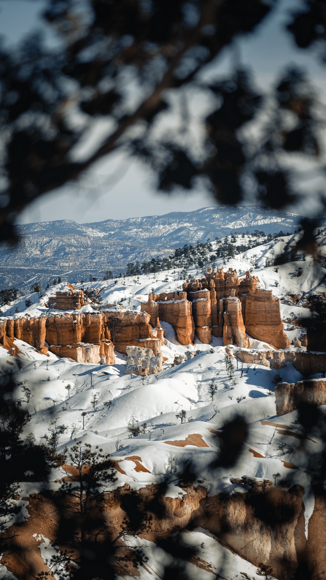 Обои пейзаж, снег, зима, замораживание, природный ландшафт в разрешении 1080x1920