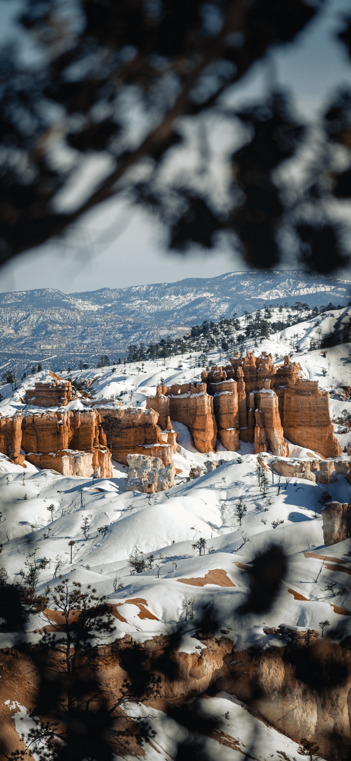 Обои пейзаж, снег, зима, замораживание, природный ландшафт в разрешении 1125x2436