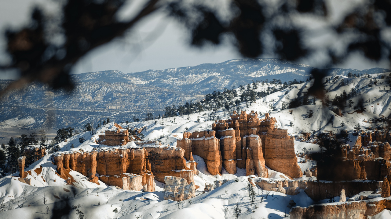 Обои пейзаж, снег, зима, замораживание, природный ландшафт в разрешении 1280x720