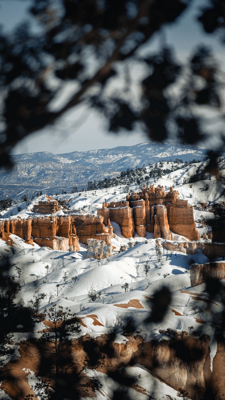 Обои пейзаж, снег, зима, замораживание, природный ландшафт в разрешении 720x1280