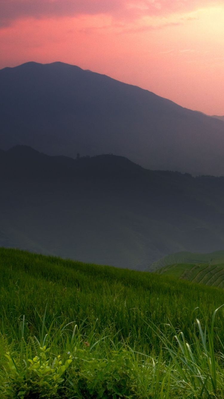 Обои природа, нагорье, горный рельеф, сенокосное угодье, холм в разрешении 750x1334