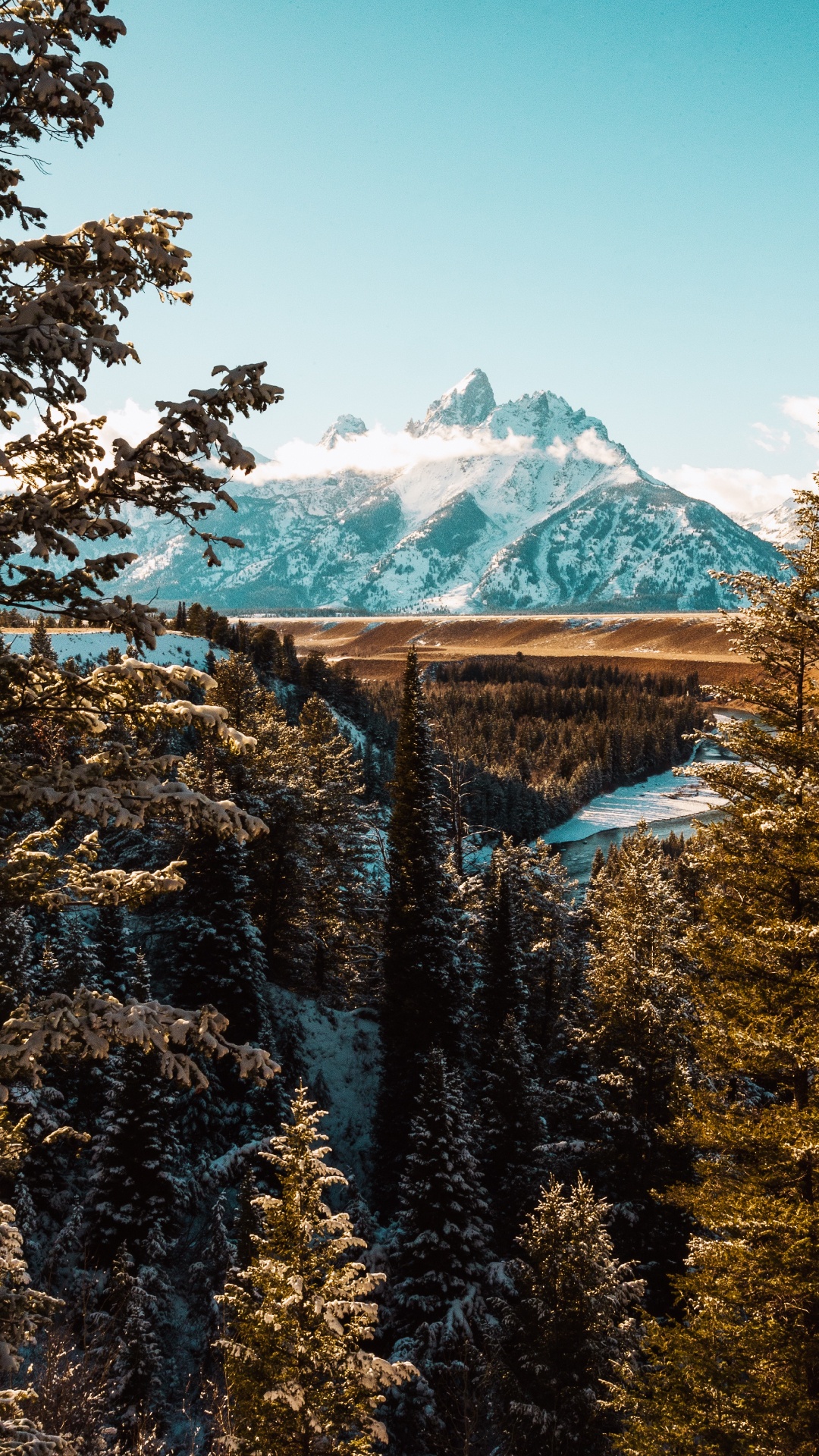 Обои национальный парк Гранд титон, горный рельеф, природный ландшафт, биом, небо в разрешении 1080x1920