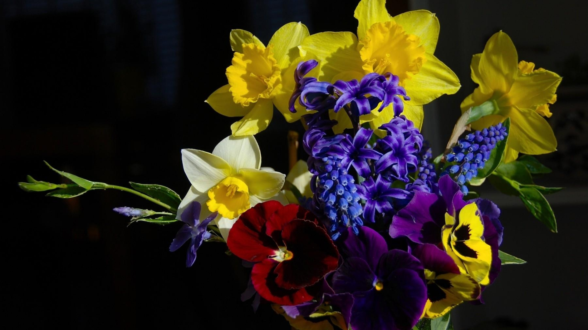 Обои цветочный букет, Нарцисс, цветковое растение, желтый, растение в разрешении 1920x1080