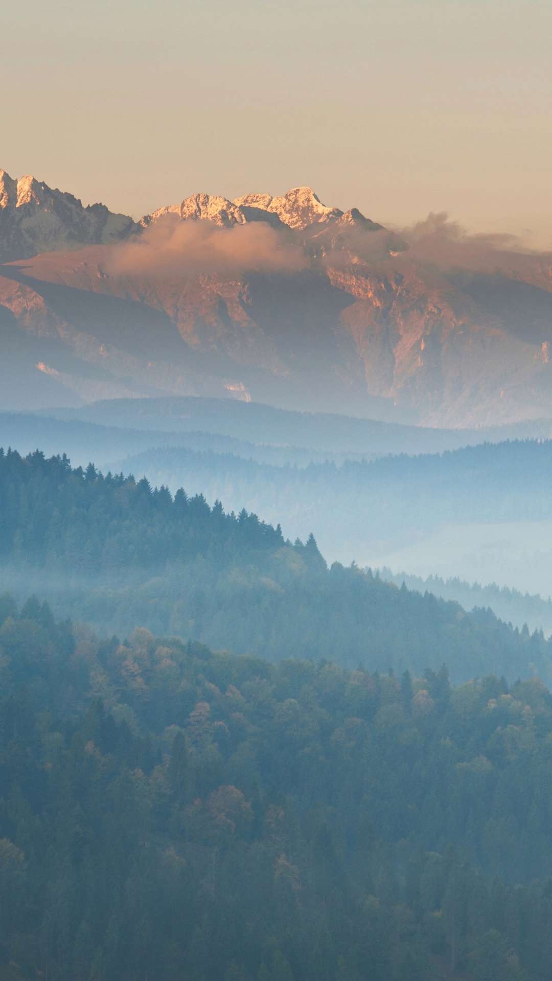 Обои Калифорнийский научный центр, гора, предгорье, природа, снег в разрешении 1080x1920