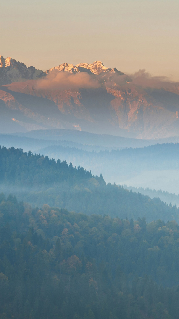 Обои Калифорнийский научный центр, гора, предгорье, природа, снег в разрешении 750x1334