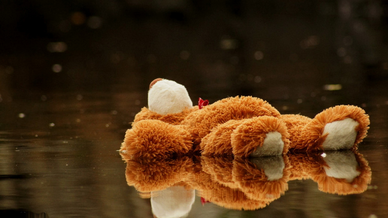 Обои плюшевый мишка, плюшевый медведь, печаль, медведь, грусть в разрешении 1280x720