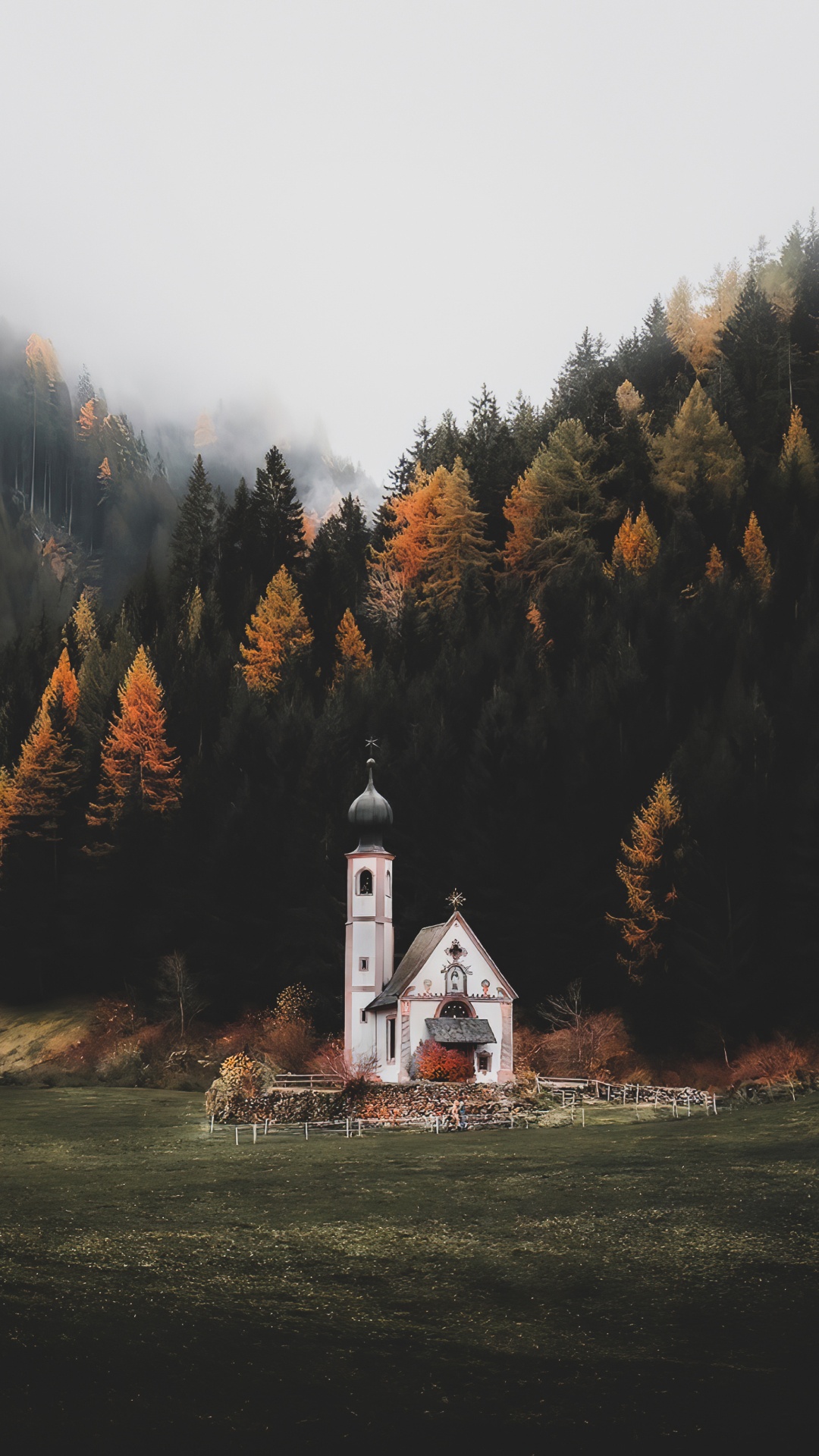 Обои природа, растение, окно, природный ландшафт, дерево в разрешении 1080x1920