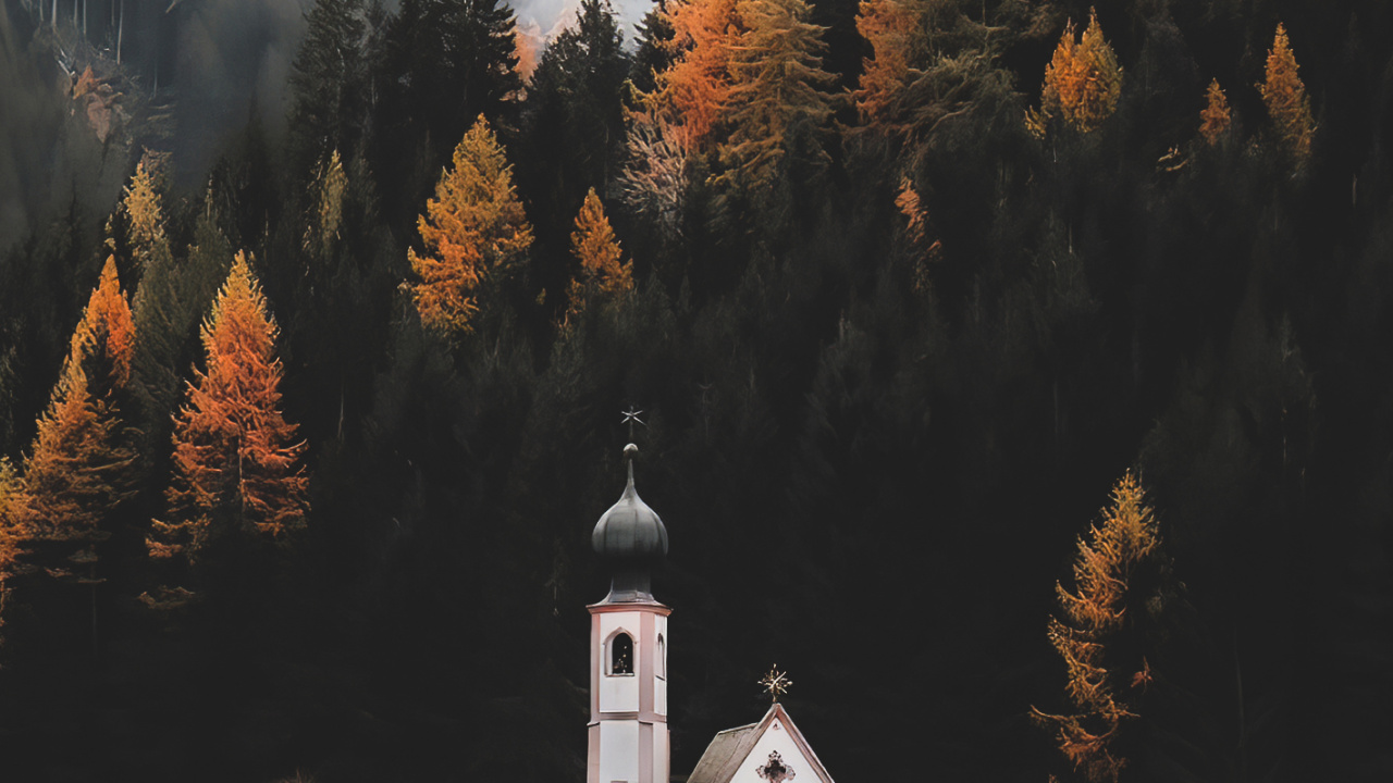 Обои природа, растение, окно, природный ландшафт, дерево в разрешении 1280x720