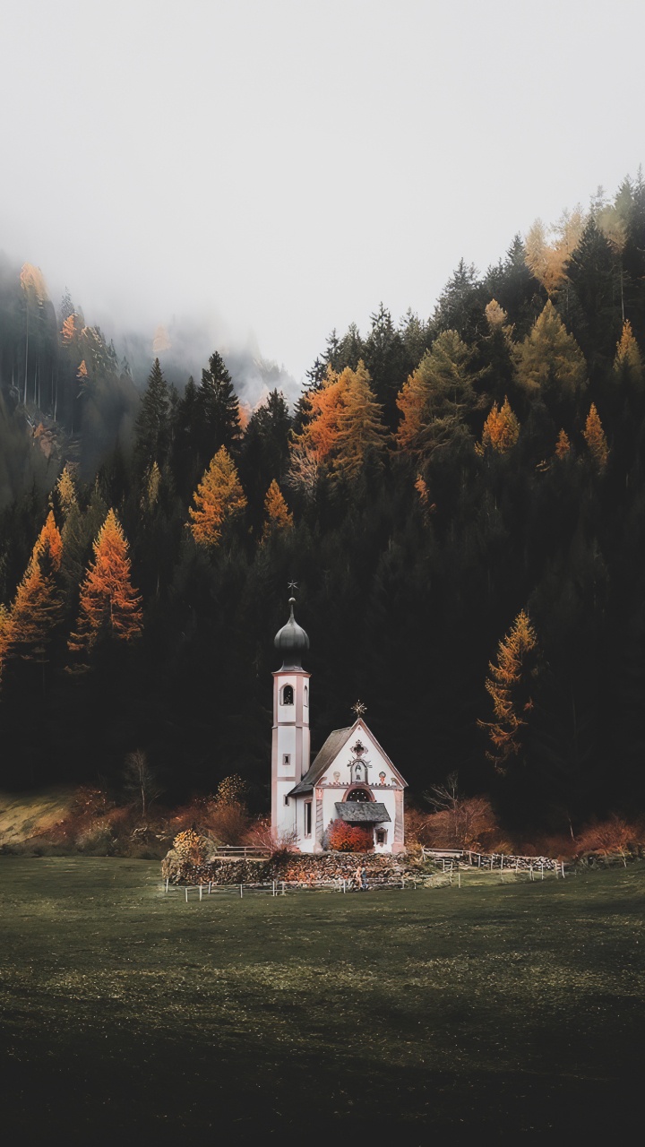 Обои природа, растение, окно, природный ландшафт, дерево в разрешении 720x1280