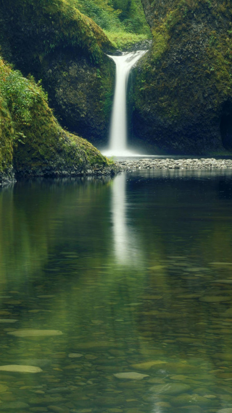 Обои водоем, гидроресурсы, природа, вода, зеленый в разрешении 750x1334