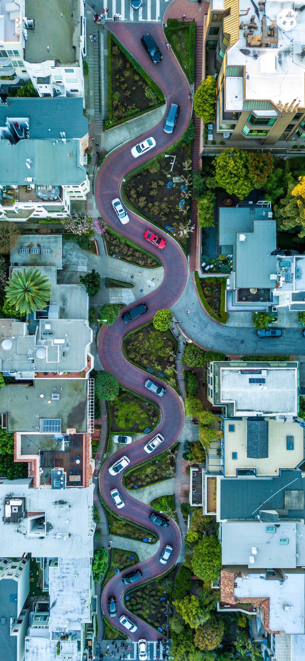 Обои ломбард-стрит, мост Golden Gate, Фишерманс-Уорф, Гайд-стрит, Солье в разрешении 1242x2688