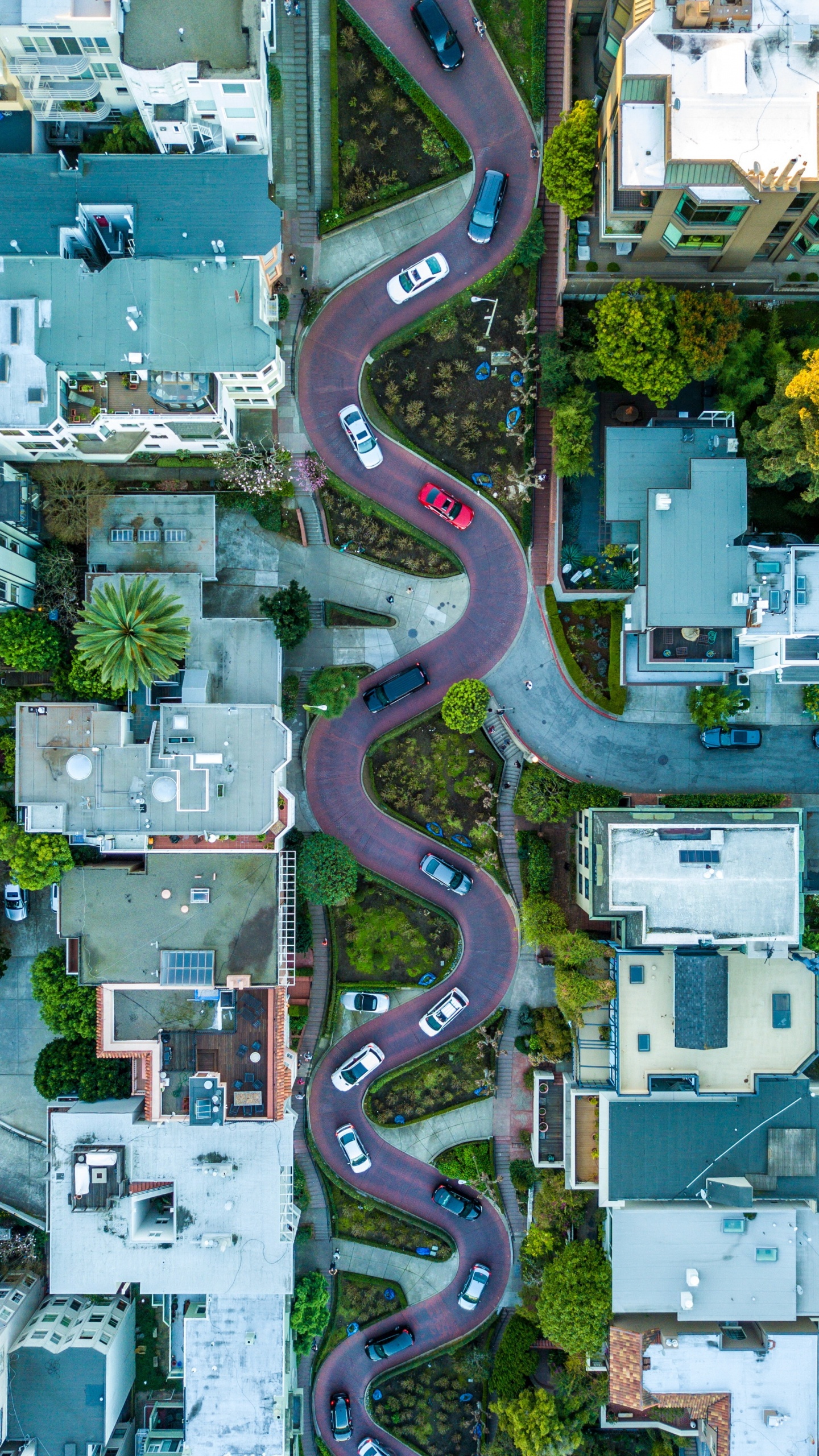 Обои ломбард-стрит, мост Golden Gate, Фишерманс-Уорф, Гайд-стрит, Солье в разрешении 1440x2560
