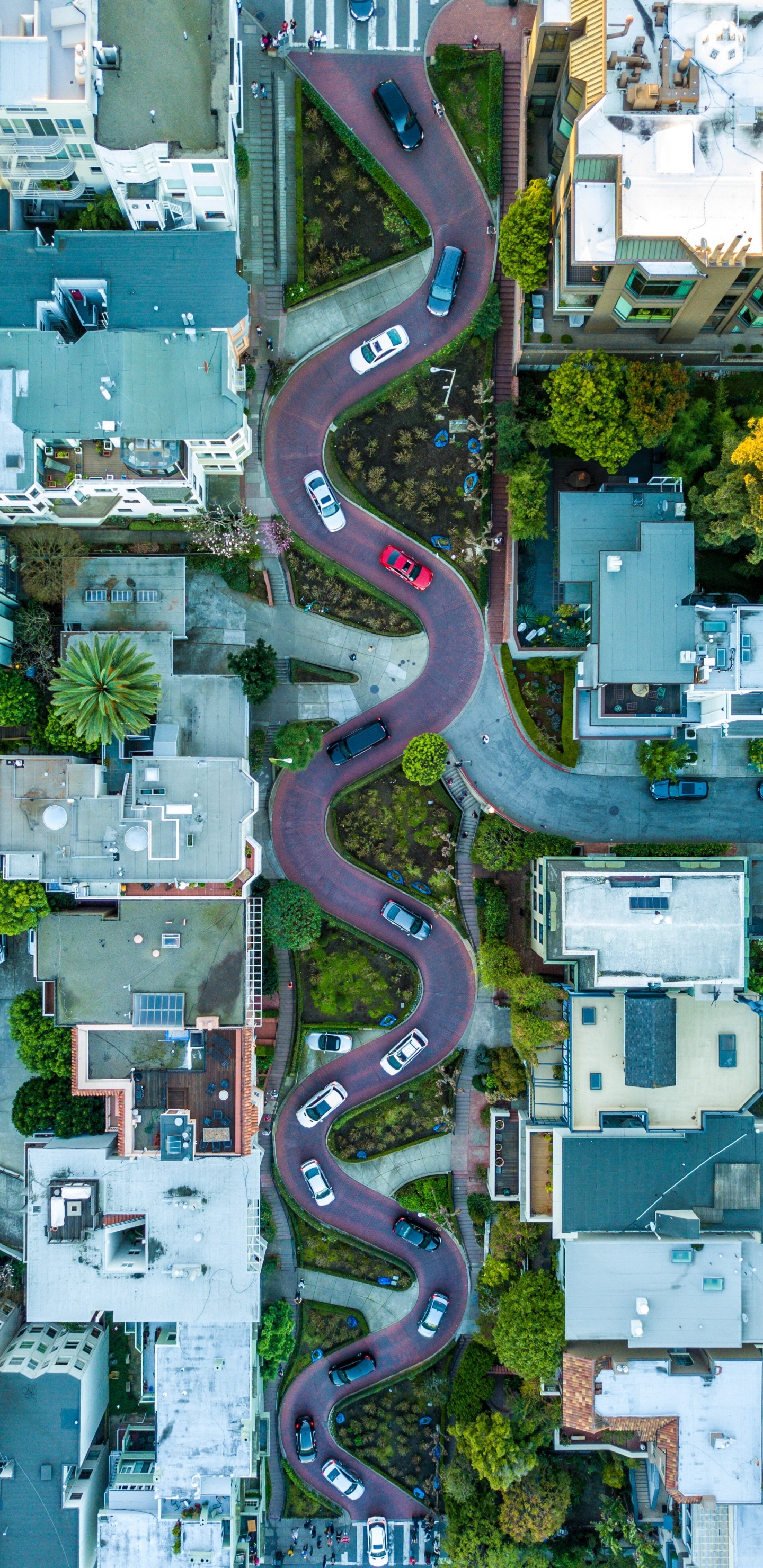 Обои ломбард-стрит, мост Golden Gate, Фишерманс-Уорф, Гайд-стрит, Солье в разрешении 1440x2960