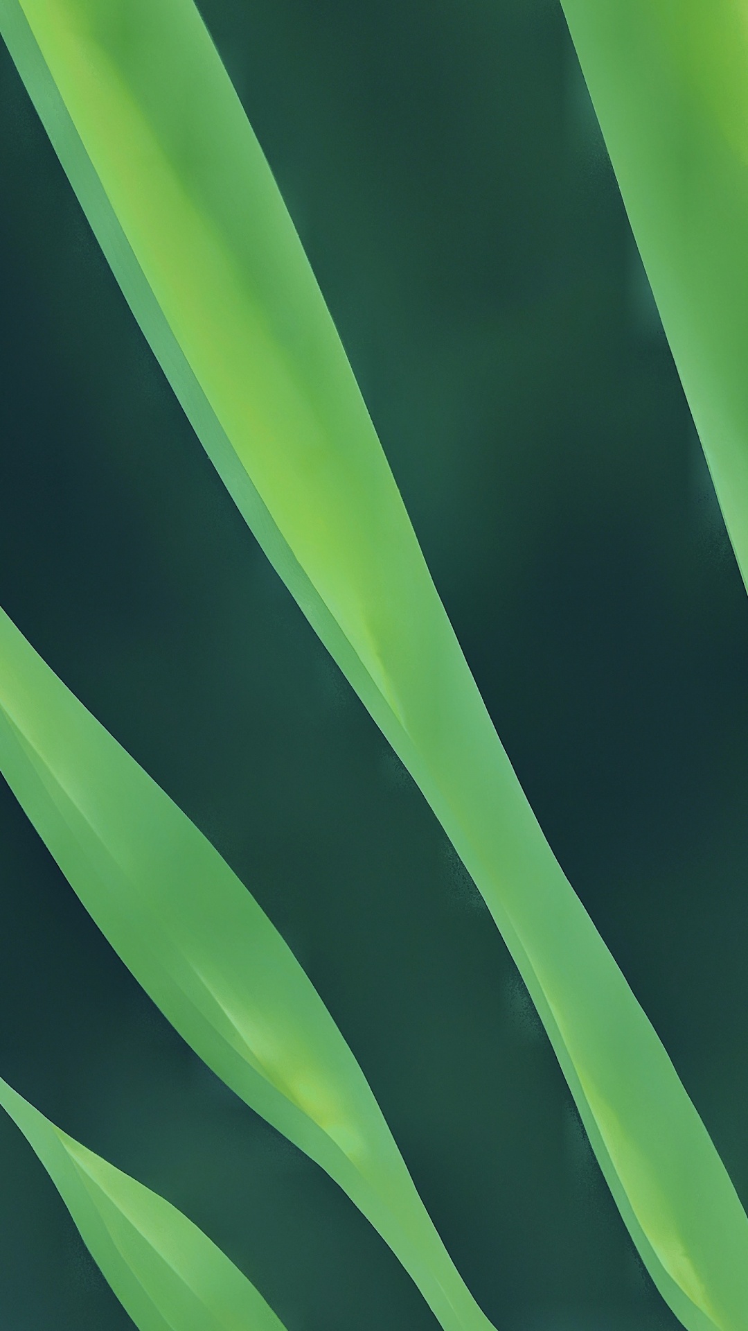 Обои лист, яблоко, пейзаж, волосы, растение в разрешении 1080x1920