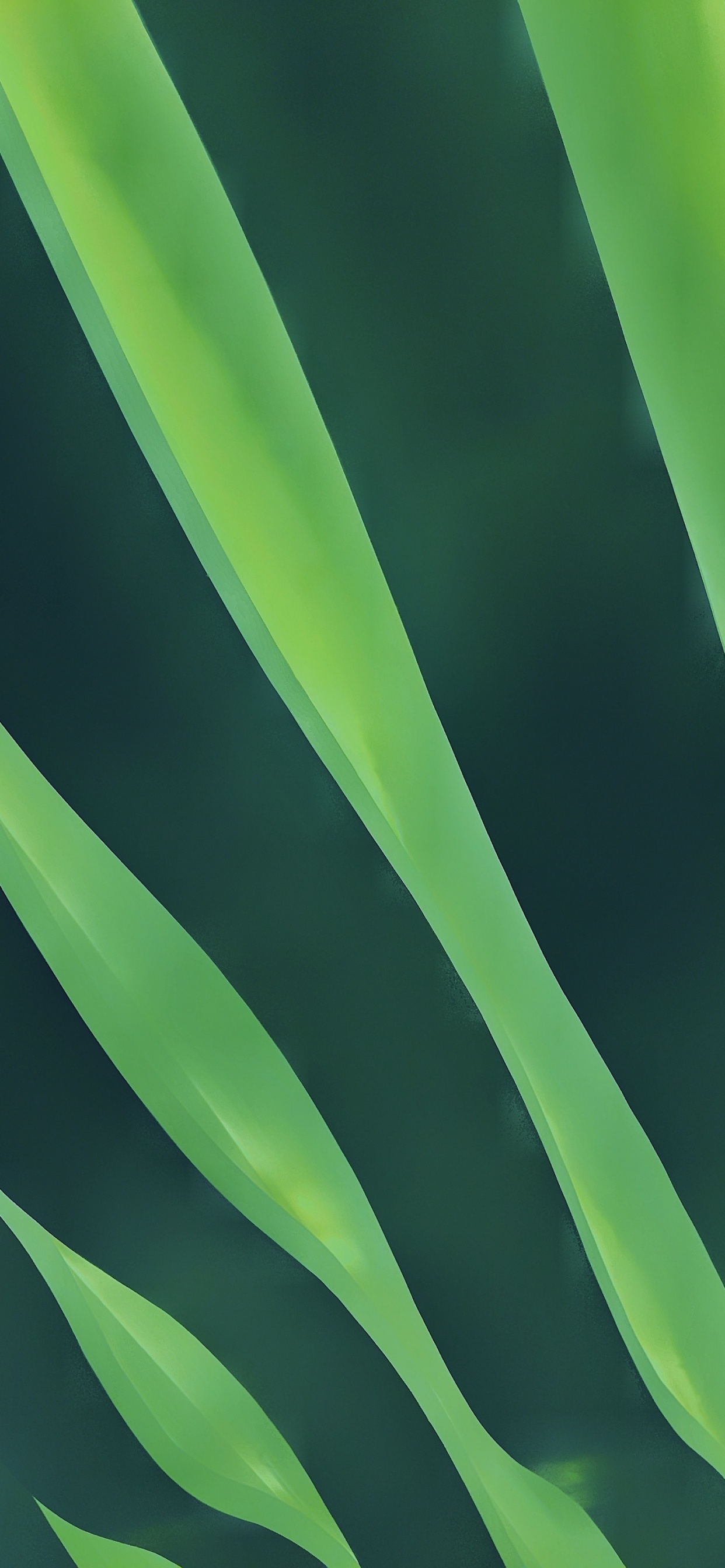 Обои лист, яблоко, пейзаж, волосы, растение в разрешении 1242x2688