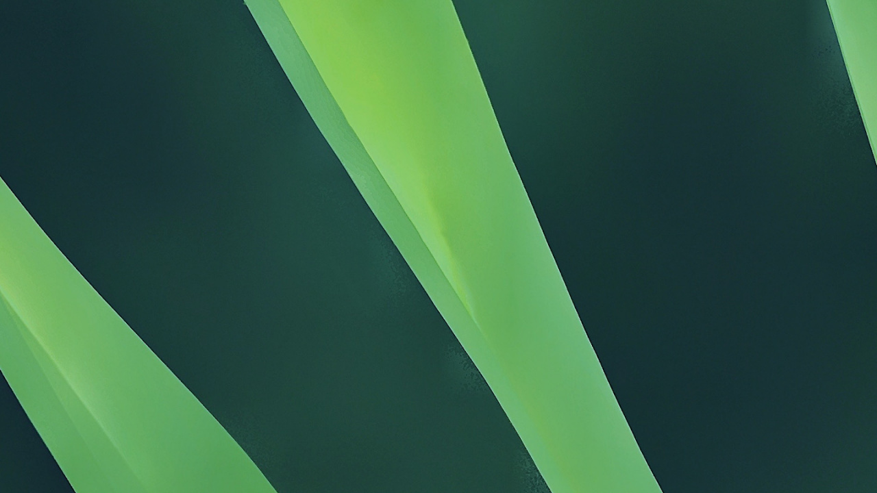 Обои лист, яблоко, пейзаж, волосы, растение в разрешении 1280x720