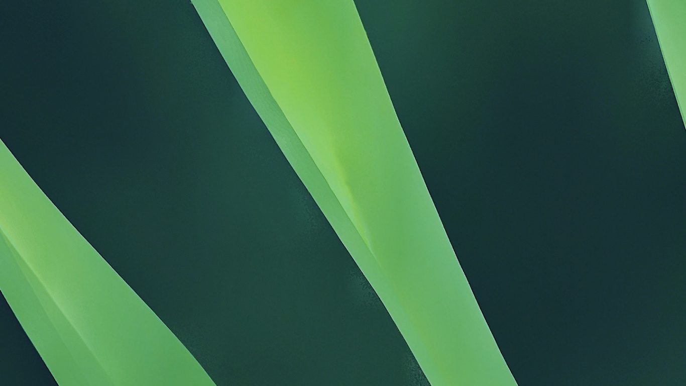 Обои лист, яблоко, пейзаж, волосы, растение в разрешении 1366x768