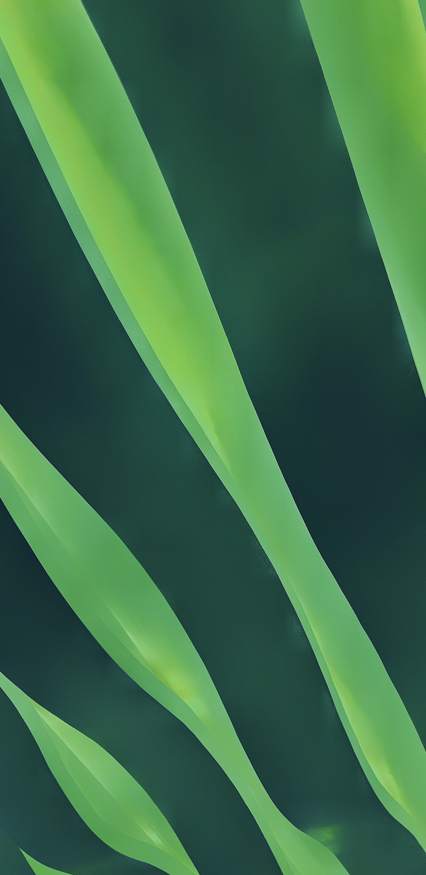 Обои лист, яблоко, пейзаж, волосы, растение в разрешении 1440x2960