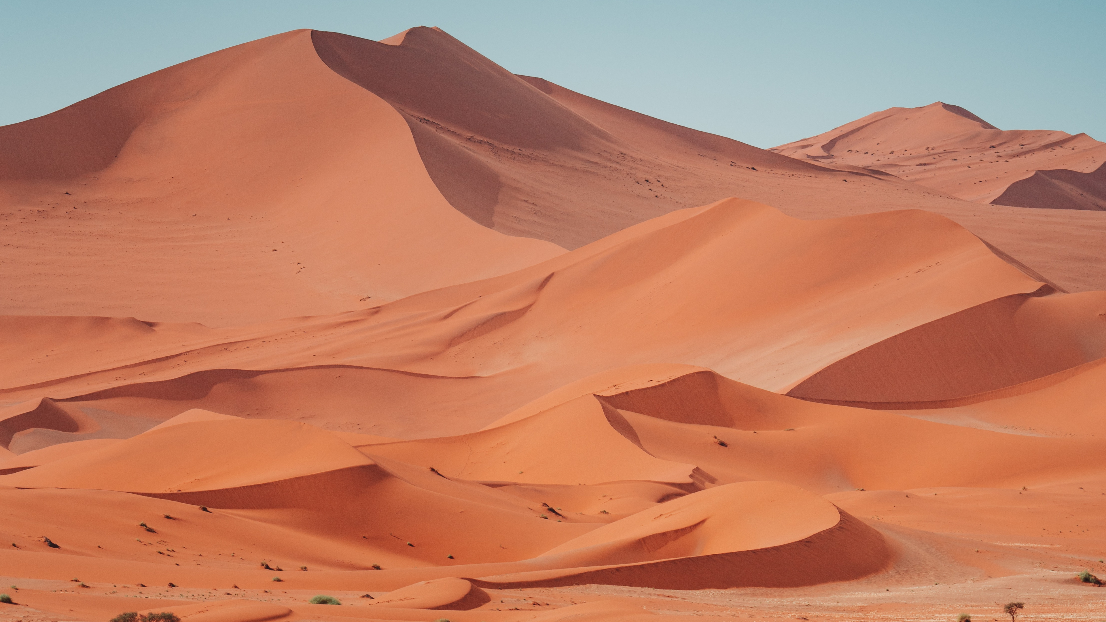 Обои эрг, туристическое агентство Клаудия Фаст, коричневый цвет, природный ландшафт, местность в разрешении 3840x2160