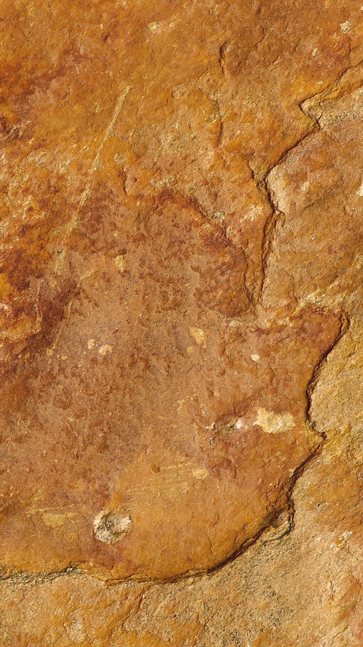 Обои текстура, наложение текстуры, рок, мрамор, ржавчина в разрешении 720x1280